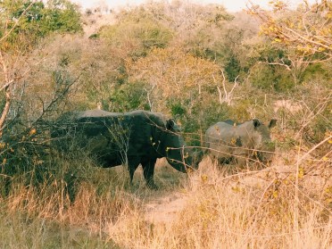 11E47A73-E949-4B63-810A-0B65AA95E34D