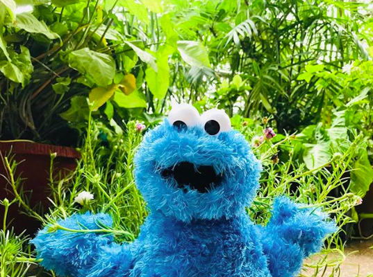 Screen Shot 2018-08-01 at 7.32.11 PM.png