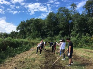 Eight people in the center of the photo tilling the soil at a field surrounded by trees. Blue clear sky above.