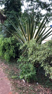 e89f6e99-b1df-4056-b07a-343921f75f69